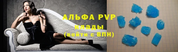 крисы Баксан